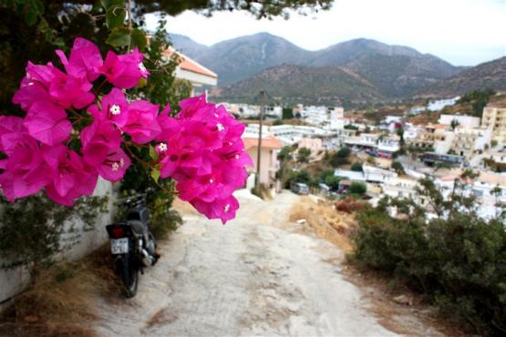 Bild Nr. 28112 - 37 mal gesehen