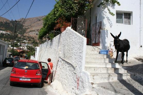 Bild Nr. 28120 - 38 mal gesehen