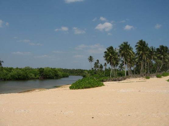 Bild Nr. 28601 - 156 mal gesehen