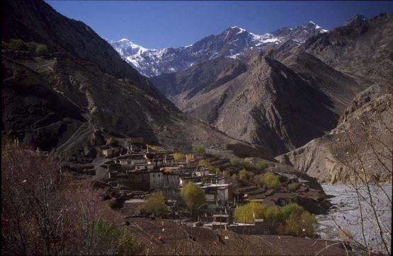 Bild Nr. 286 - 191 mal gesehen Bild Nr. 286 - 191 mal gesehen