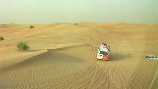 Bild Nr. 28786 - 193 mal gesehen