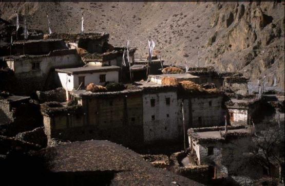 Bild Nr. 287 - 204 mal gesehen Bild Nr. 287 - 204 mal gesehen