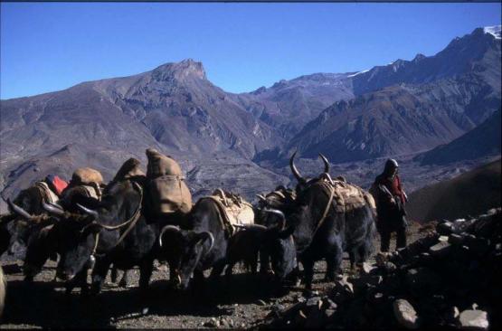 Bild Nr. 288 - 160 mal gesehen Bild Nr. 288 - 160 mal gesehen