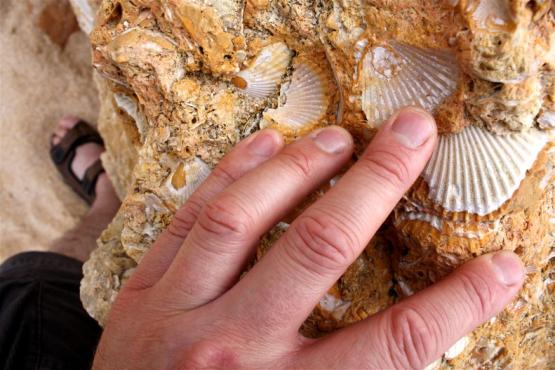 Bild Nr. 29019 - 609 mal gesehen Bild Nr. 29019 - 609 mal gesehen