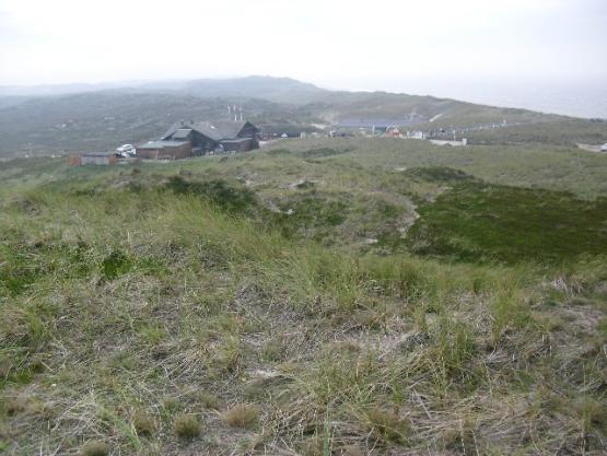 Bild Nr. 29685 - 334 mal gesehen