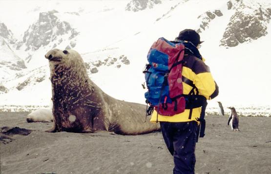 Bild Nr. 2995 - 566 mal gesehen Bild Nr. 2995 - 566 mal gesehen