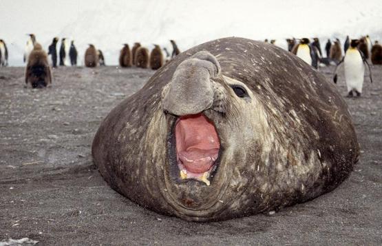 Bild Nr. 2996 - 581 mal gesehen Bild Nr. 2996 - 581 mal gesehen