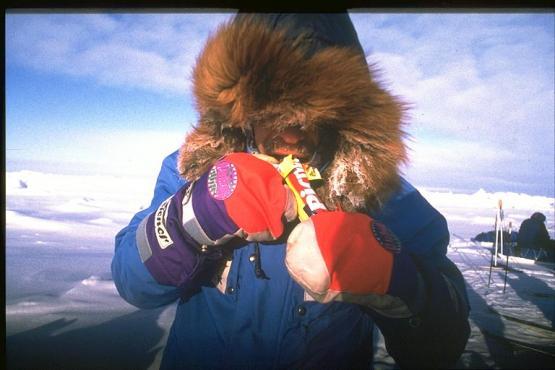 Bild Nr. 3001 - 927 mal gesehen Bild Nr. 3001 - 927 mal gesehen