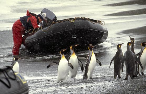 Bild Nr. 3003 - 727 mal gesehen Bild Nr. 3003 - 727 mal gesehen
