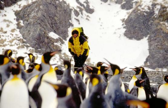 Bild Nr. 3004 - 701 mal gesehen Bild Nr. 3004 - 701 mal gesehen