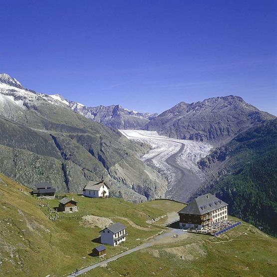 Bild Nr. 3009 - 501 mal gesehen Bild Nr. 3009 - 501 mal gesehen