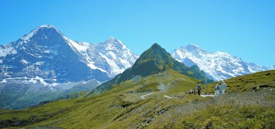 Bild Nr. 3019 - 312 mal gesehen Bild Nr. 3019 - 312 mal gesehen