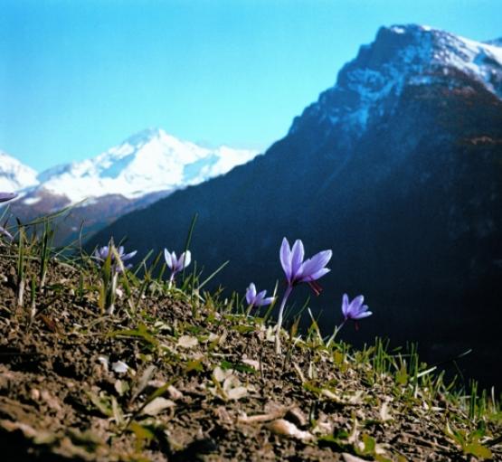 Bild Nr. 3022 - 306 mal gesehen Bild Nr. 3022 - 306 mal gesehen