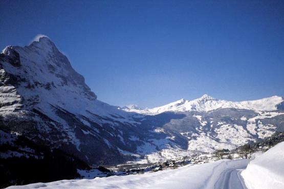 Bild Nr. 3023 - 326 mal gesehen Bild Nr. 3023 - 326 mal gesehen