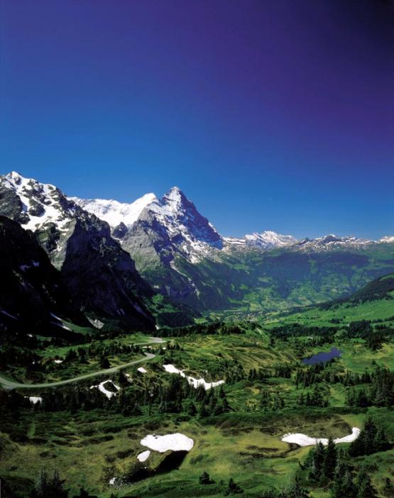 Bild Nr. 3024 - 334 mal gesehen Bild Nr. 3024 - 334 mal gesehen