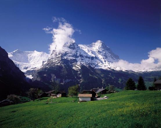 Bild Nr. 3025 - 304 mal gesehen Bild Nr. 3025 - 304 mal gesehen