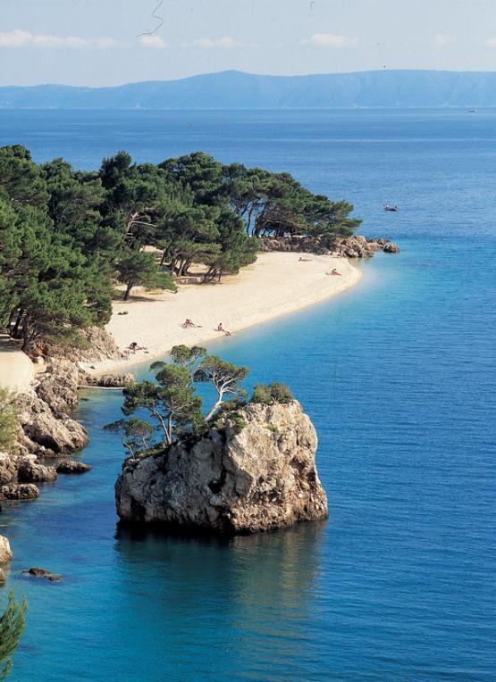 Bild Nr. 3037 - 509 mal gesehen Bild Nr. 3037 - 509 mal gesehen