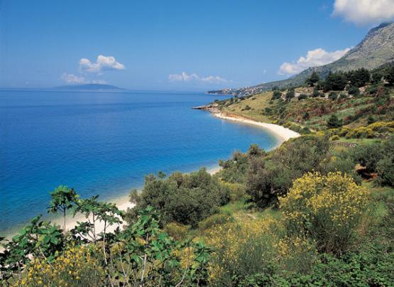 Bild Nr. 3038 - 445 mal gesehen Bild Nr. 3038 - 445 mal gesehen