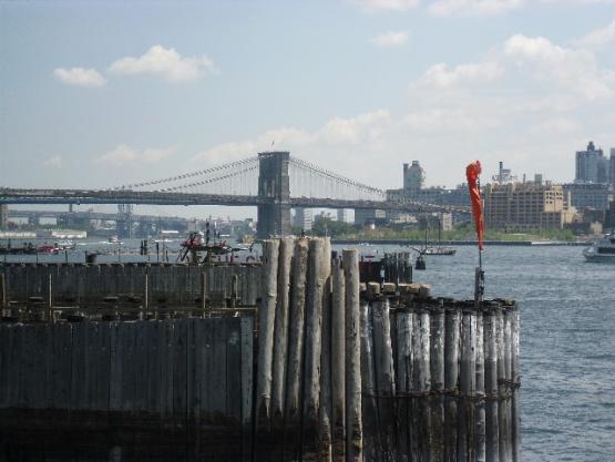 Bild Nr. 30494 - 145 mal gesehen