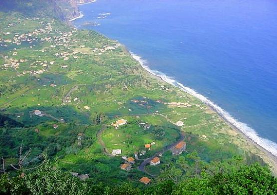 Bild Nr. 305 - 190 mal gesehen