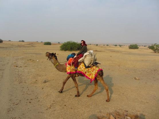 Bild Nr. 30812 - 123 mal gesehen Bild Nr. 30812 - 123 mal gesehen