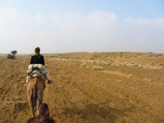 Bild Nr. 30827 - 140 mal gesehen