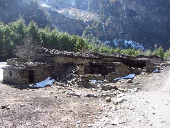 Bild Nr. 30995 - 246 mal gesehen