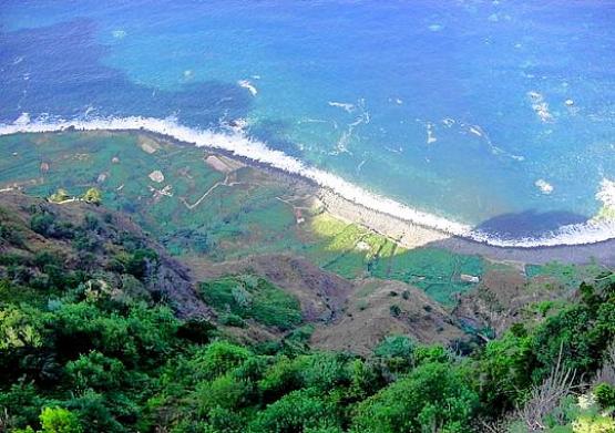 Bild Nr. 309 - 114 mal gesehen