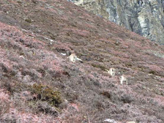 Bild Nr. 31051 - 180 mal gesehen