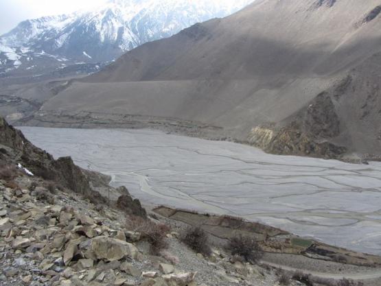 Bild Nr. 31082 - 258 mal gesehen