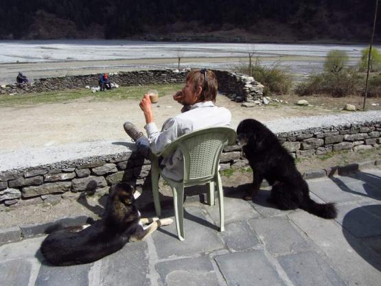 Bild Nr. 31090 - 259 mal gesehen