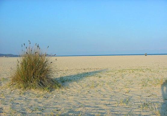 Bild Nr. 316 - 140 mal gesehen