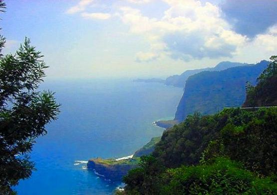 Bild Nr. 317 - 116 mal gesehen