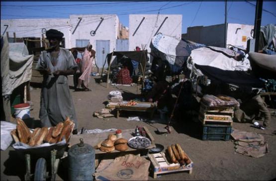 Bild Nr. 324 - 209 mal gesehen