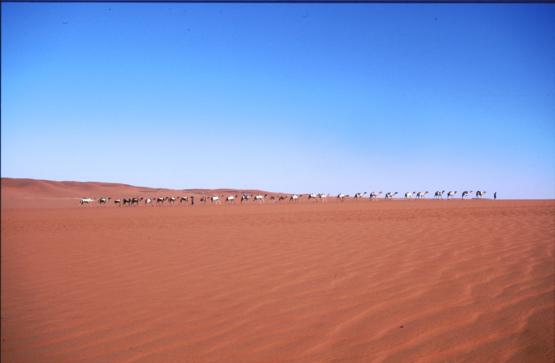 Bild Nr. 326 - 434 mal gesehen