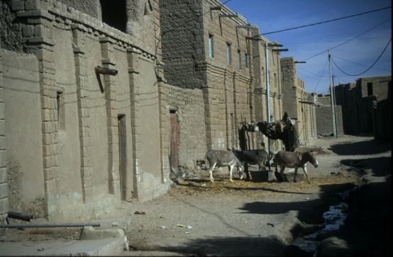 Bild Nr. 329 - 224 mal gesehen