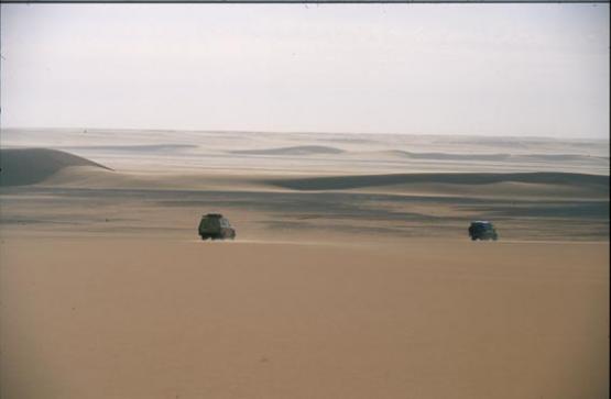 Bild Nr. 330 - 232 mal gesehen