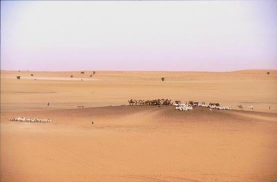 Bild Nr. 331 - 198 mal gesehen