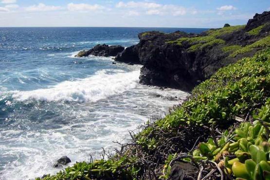 Bild Nr. 3545 - 201 mal gesehen