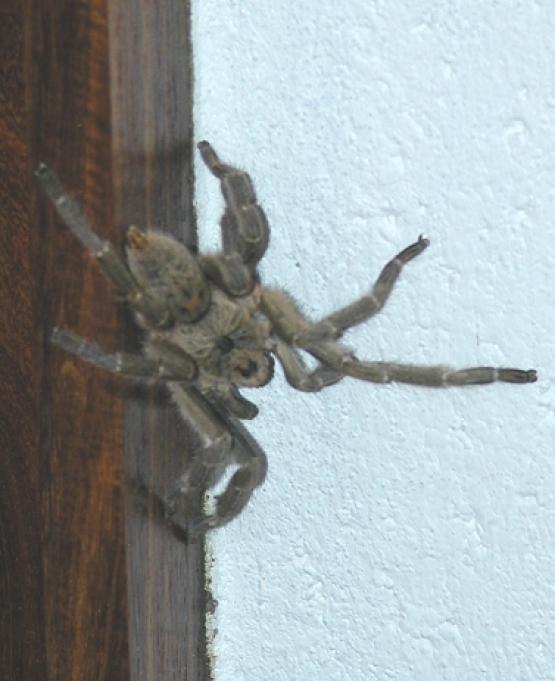 Bild Nr. 3698 - 395 mal gesehen Bild Nr. 3698 - 395 mal gesehen