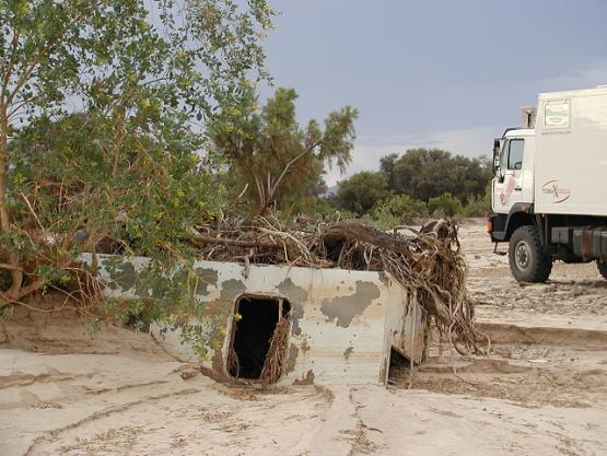 Bild Nr. 3709 - 320 mal gesehen Bild Nr. 3709 - 320 mal gesehen