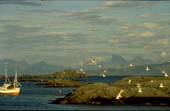 Bild Nr. 3840 - 702 mal gesehen Bild Nr. 3840 - 702 mal gesehen