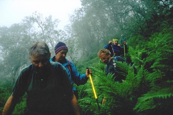 Bild Nr. 3844 - 673 mal gesehen Bild Nr. 3844 - 673 mal gesehen