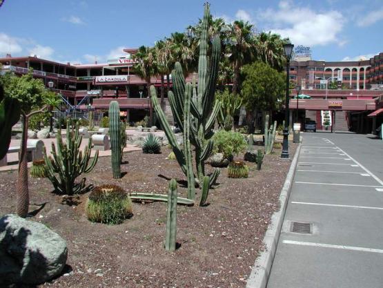 Bild Nr. 3893 - 274 mal gesehen Bild Nr. 3893 - 274 mal gesehen