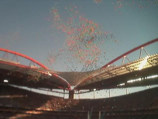 Bild Nr. 4616 - 342 mal gesehen