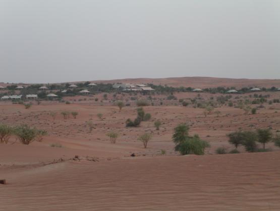 Bild Nr. 5330 - 199 mal gesehen