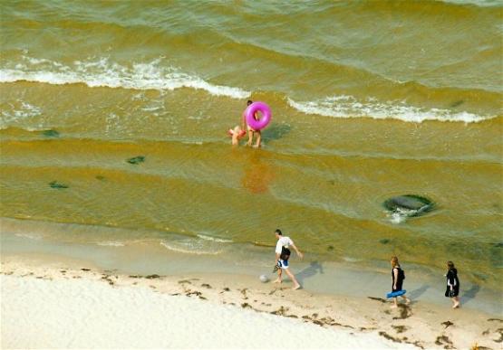 Bild Nr. 5501 - 375 mal gesehen