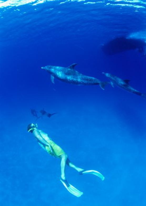 Bild Nr. 5586 - 903 mal gesehen Bild Nr. 5586 - 903 mal gesehen