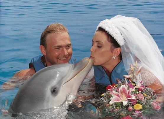 Bild Nr. 5588 - 709 mal gesehen Bild Nr. 5588 - 709 mal gesehen