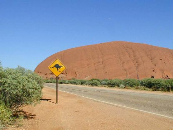 Bild Nr. 559 - 168 mal gesehen Bild Nr. 559 - 168 mal gesehen